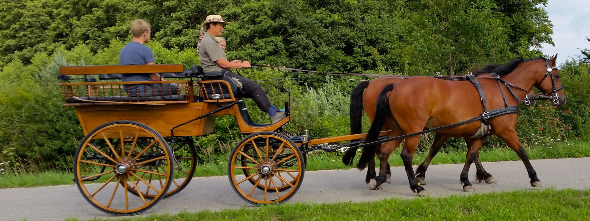 Pferdekutschenfahrten im Zweispänner mit der Familie Forster aus Leobendorf